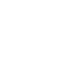 Payconig logo